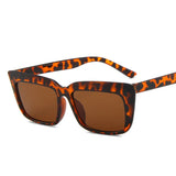other : Lunettes de Soleil Cat Eye Femme Ros other Accessoires De Mode in TigreLeopard van Seroa