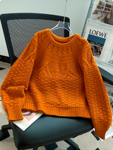 Pulls pour femmes : Pull Femme Décontracté Torsadé Maille in van Seroa