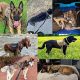 Pets & Supplies : Harnais Tactique Militaire Noir en Nylon Réglable pour Grands Chiens avec Gilet et Poignée in van Seroa